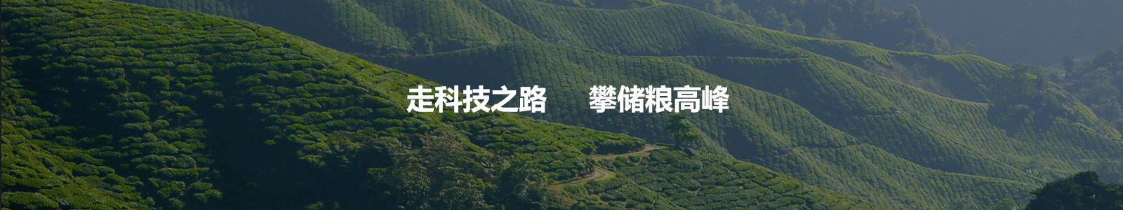 電腦幻燈片一