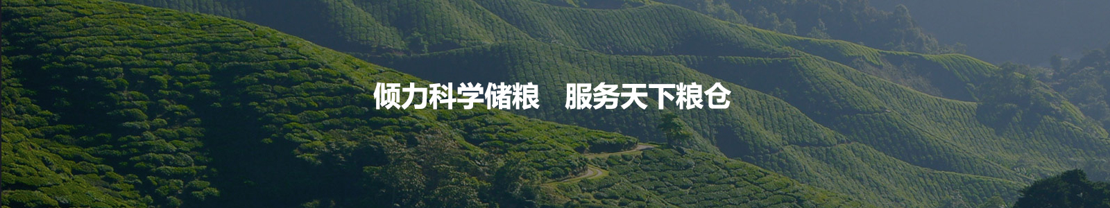 電腦幻燈片二